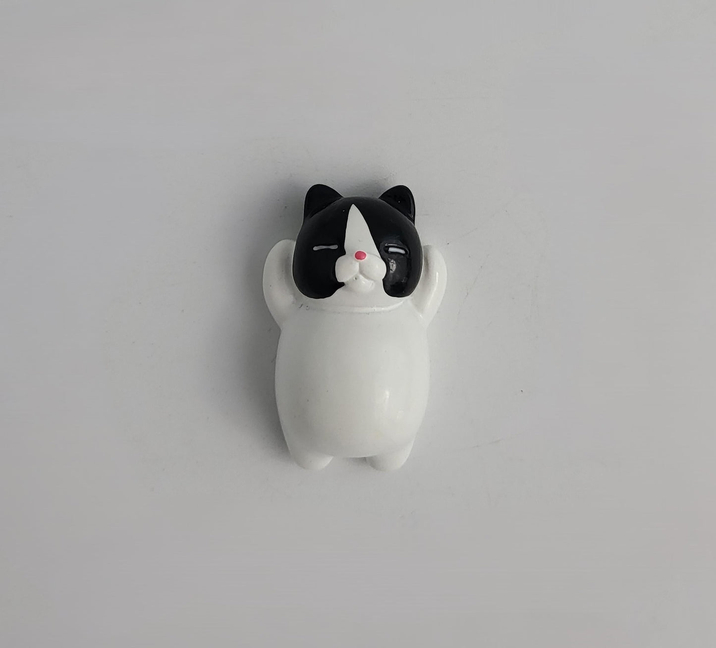 Cat Fridge Magnets