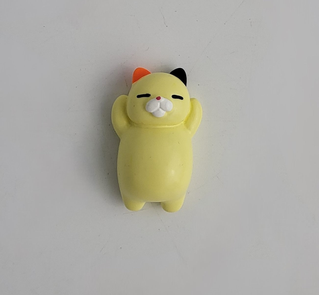 Cat Fridge Magnets