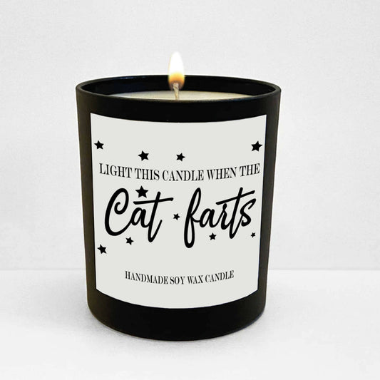 Light Me When The Cat Farts Candle