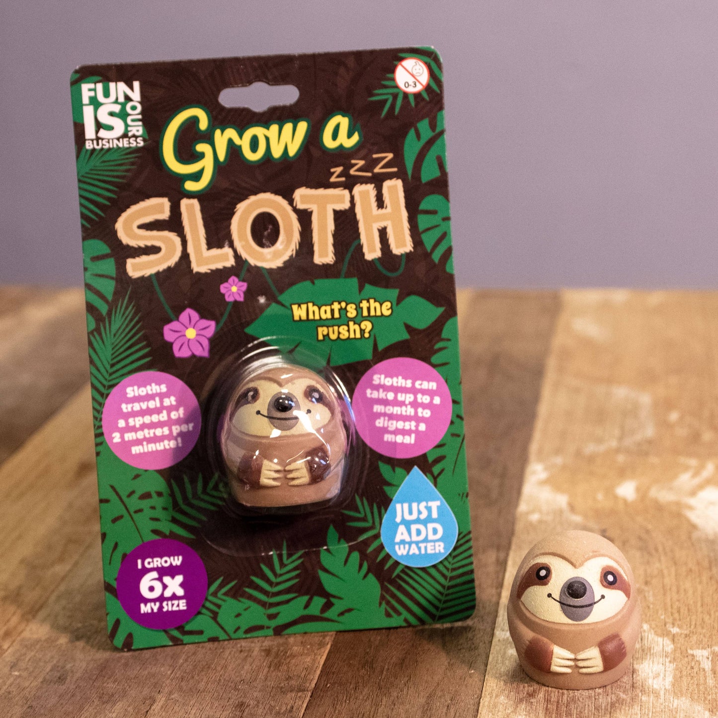 Grow A Sloth Toy and Stocking Filler