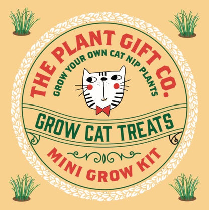 Grow Cat Treats a Cat Lovers Eco Mini Grow Kit