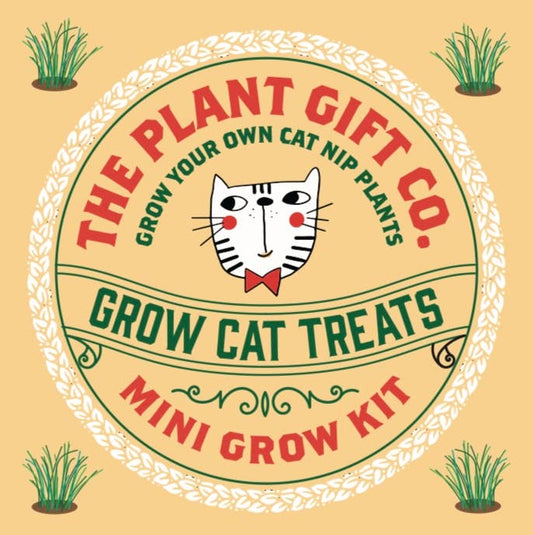 Grow Cat Treats a Cat Lovers Eco Mini Grow Kit