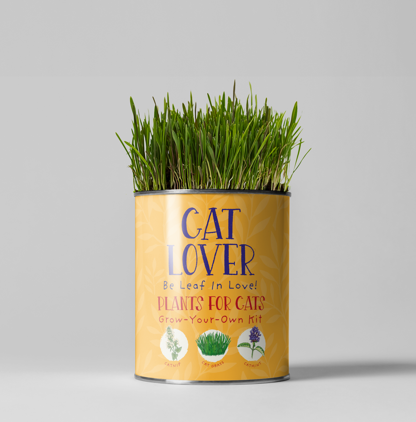 Cat Lovers Eco Grow Your Own Plant Kit Gardening Kit