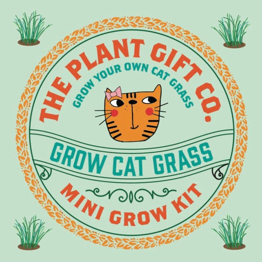 Grow Cat Grass an Eco Mini Cat Friendly Grow Kit