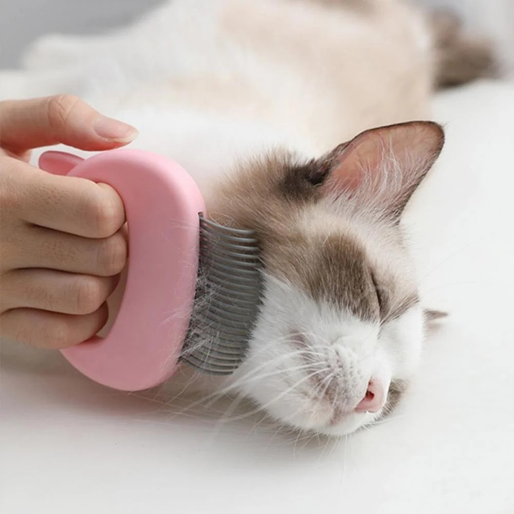 Cat Comb