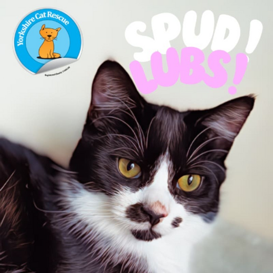 YCR Mascot Spud Lubs! Fridge Magnet