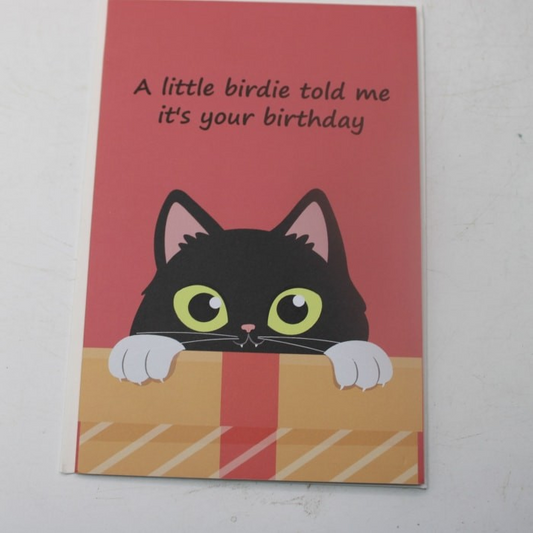 Greetings Card  Happy Birthday  Pop Up Tuxedo Cat