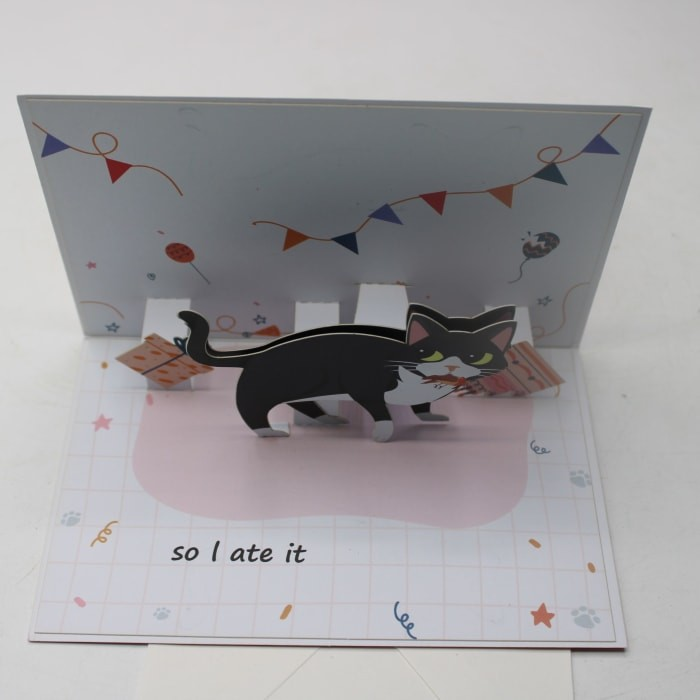 Greetings Card  Happy Birthday  Pop Up Tuxedo Cat