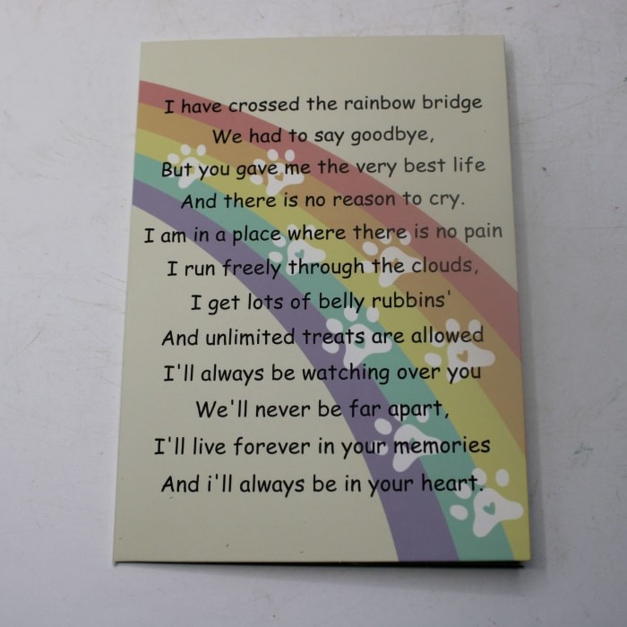 Greetings Card Rainbow Bridge Card With a Message from Your Pet