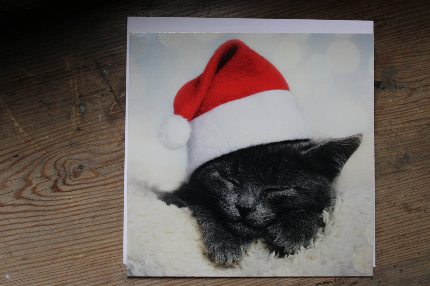 Christmas Card Cute Cat