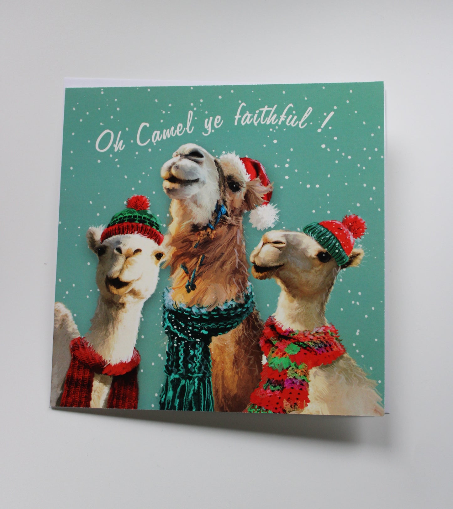 Christmas Card Camel Ye Faithful