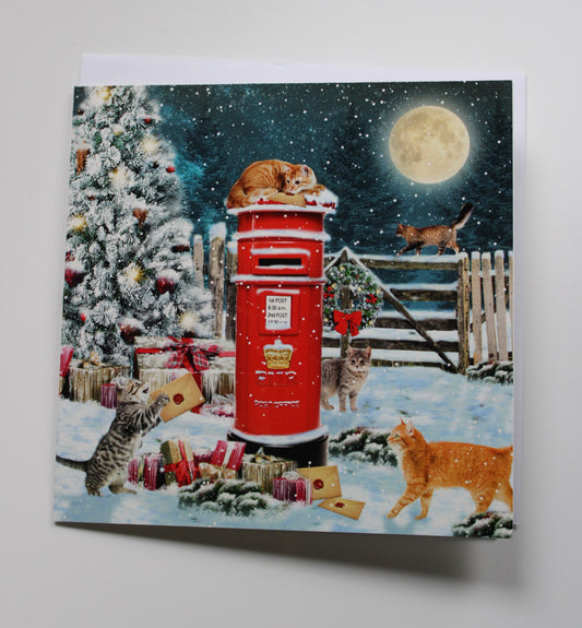 Christmas Card Cat Mail