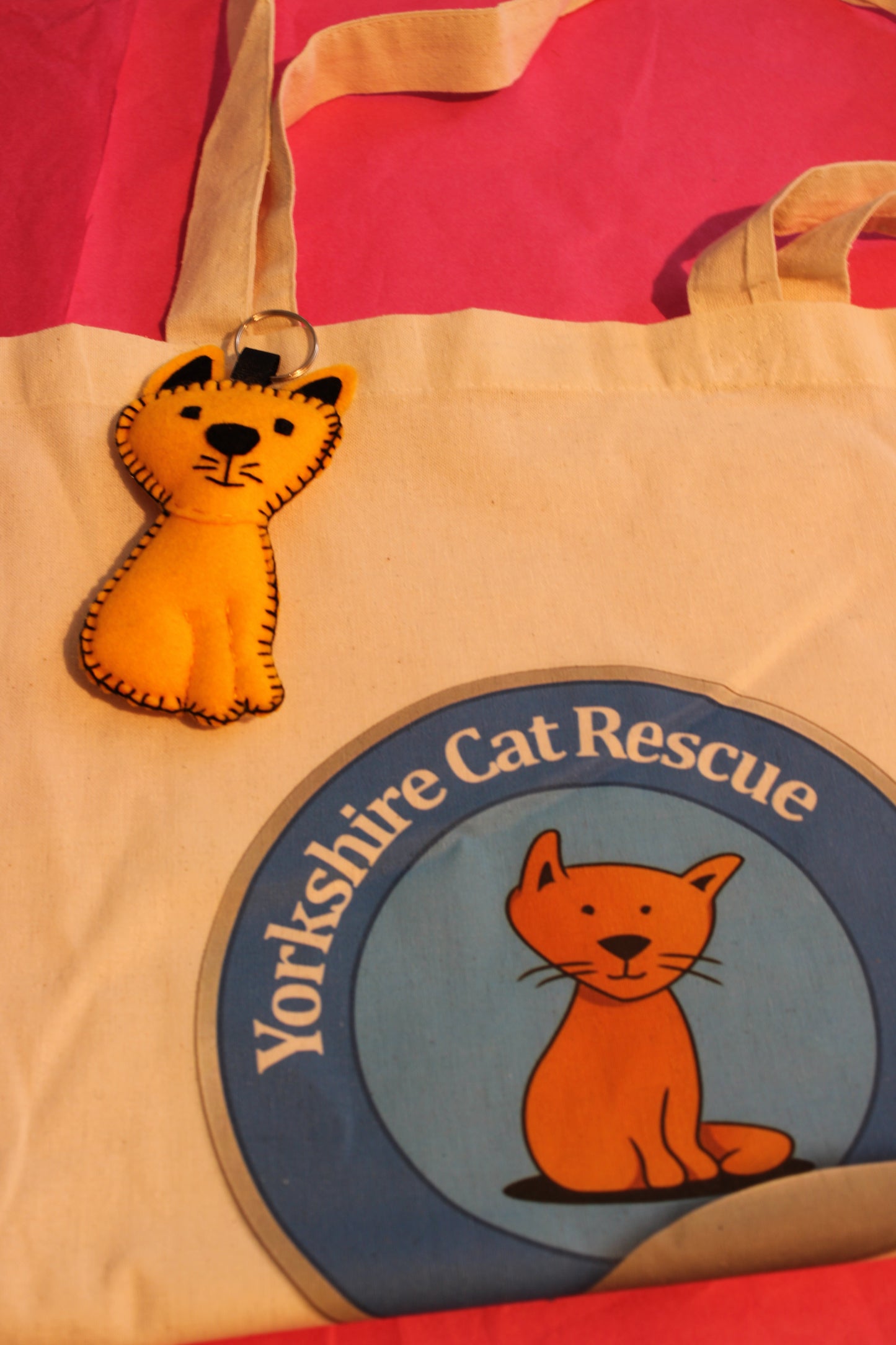 YCR Cat Keyring