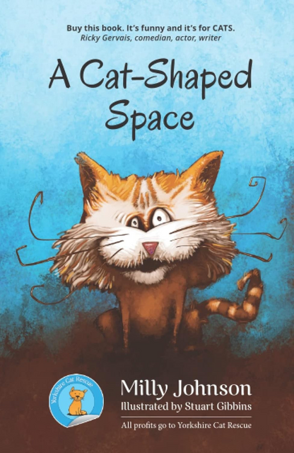 A Cat Shaped Space by Milly Johnson