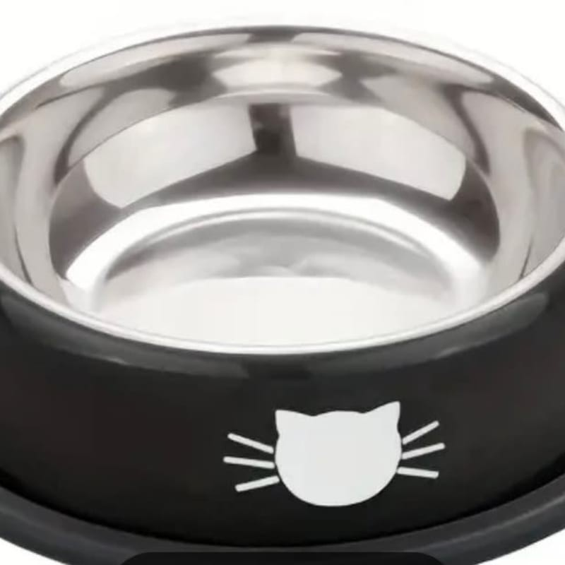 Metal Food or Water Bowl