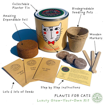 Purrfect Treat and Eco Grow Your Own Plant Kit